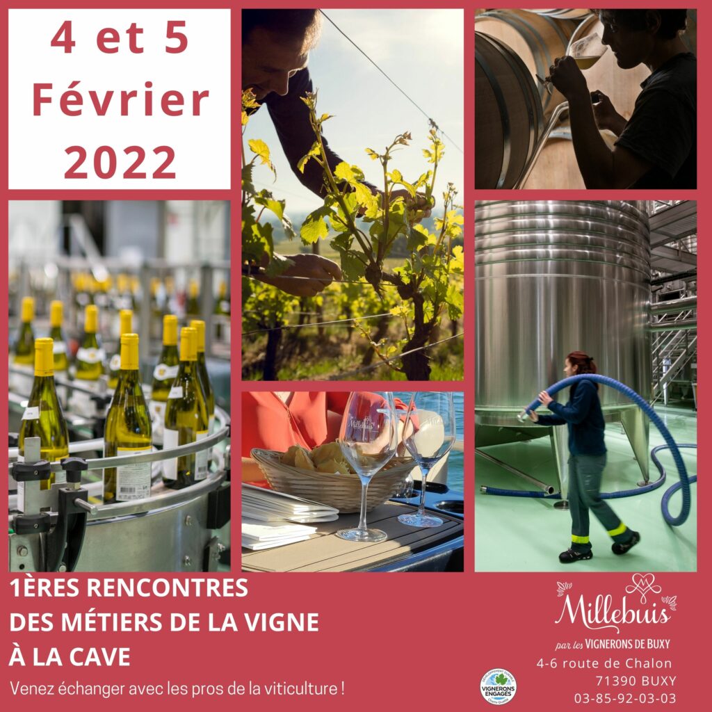 1ères Rencontres des métiers de la Vigne