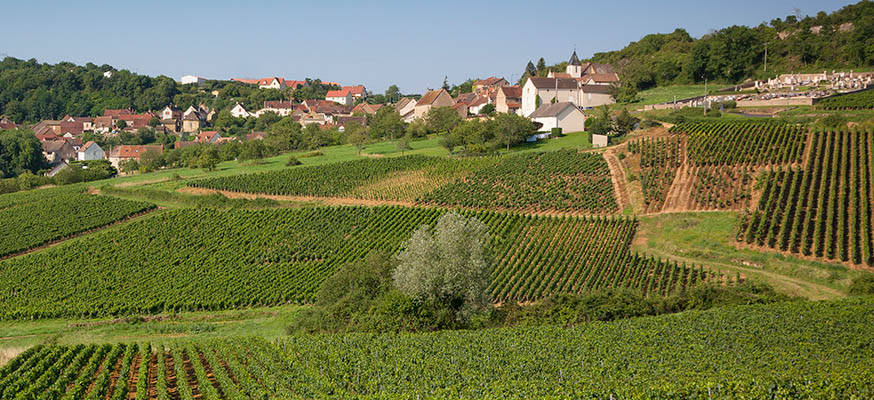 millebuis_le_village_de_Montagny