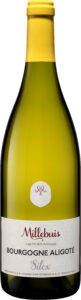 Millebuis_Bourgogne_Aligote_Silex_blanc_HD
