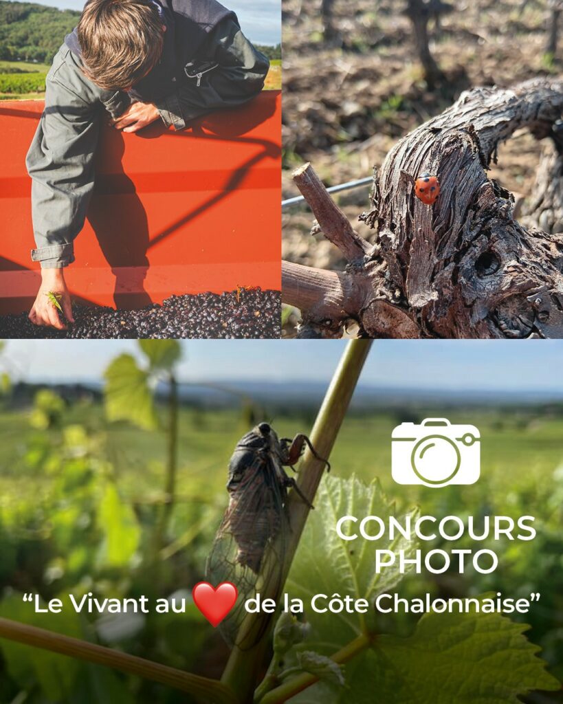 Concours Photo